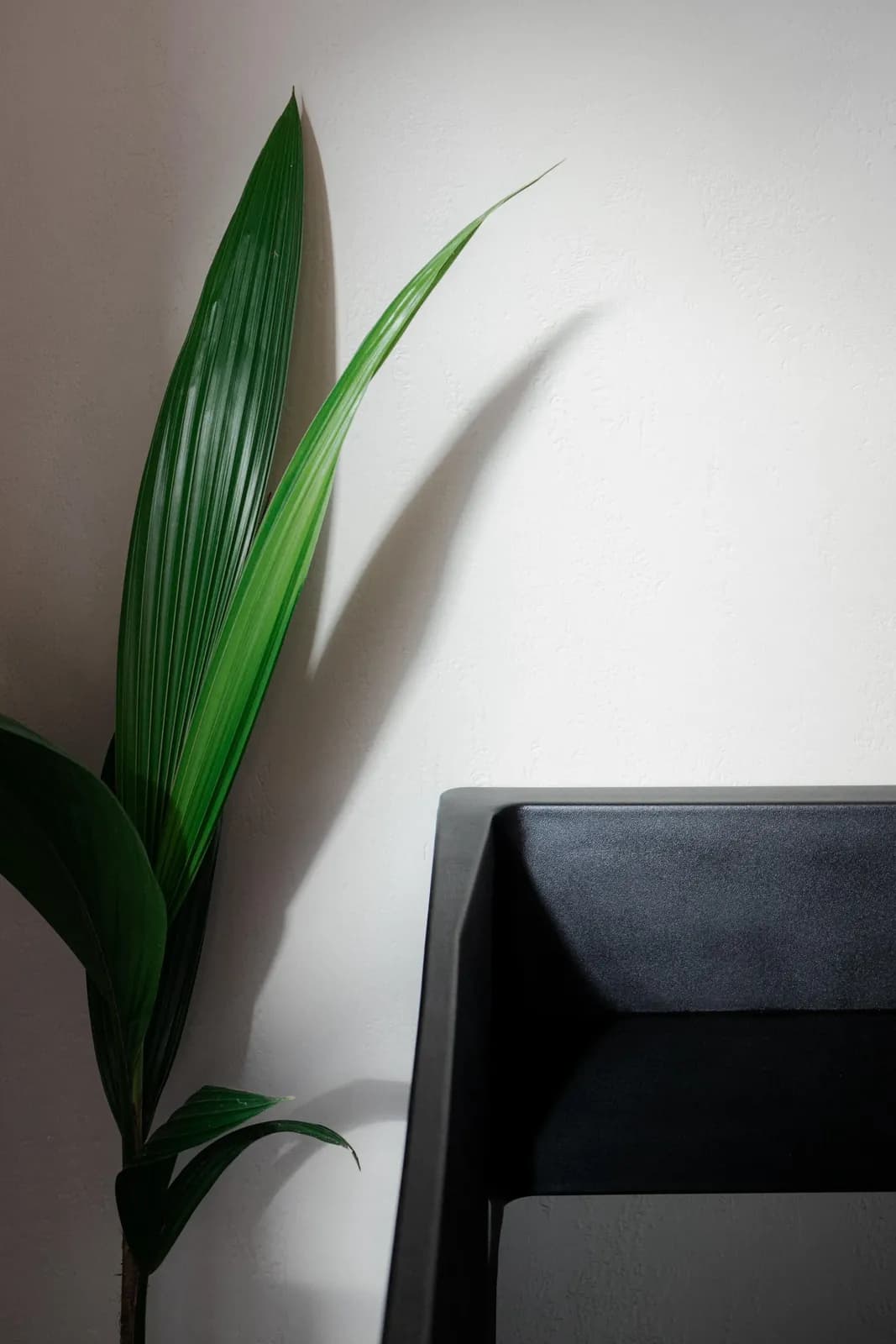 ELEV8TION Studio