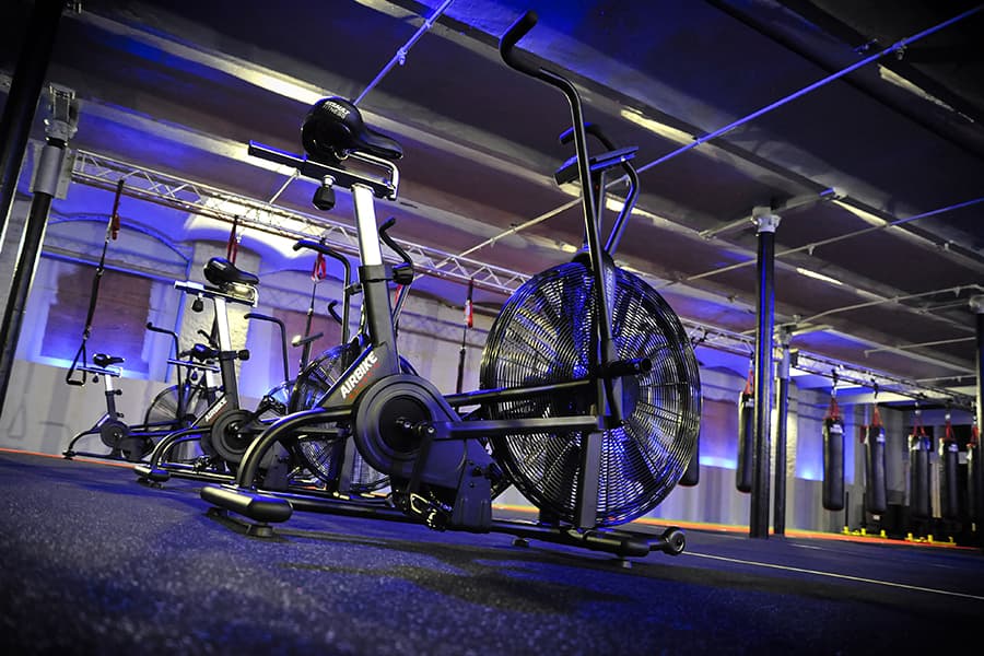 Elite Fitness Factory