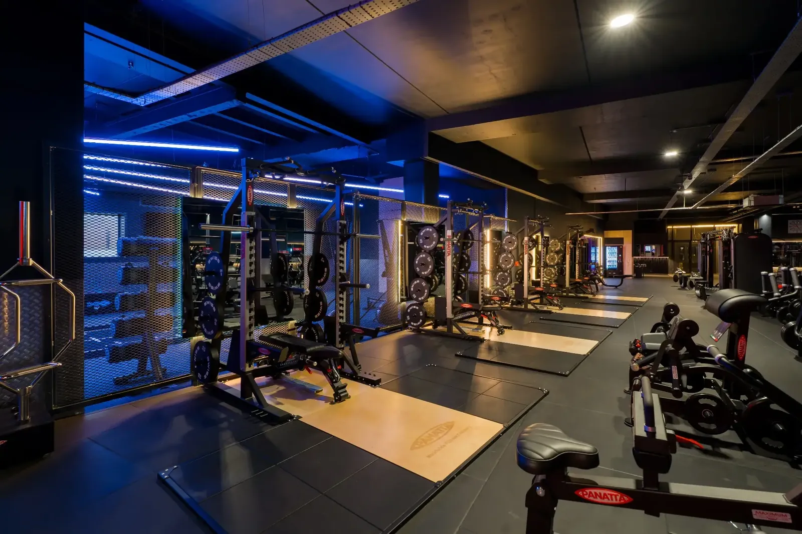 OneGym