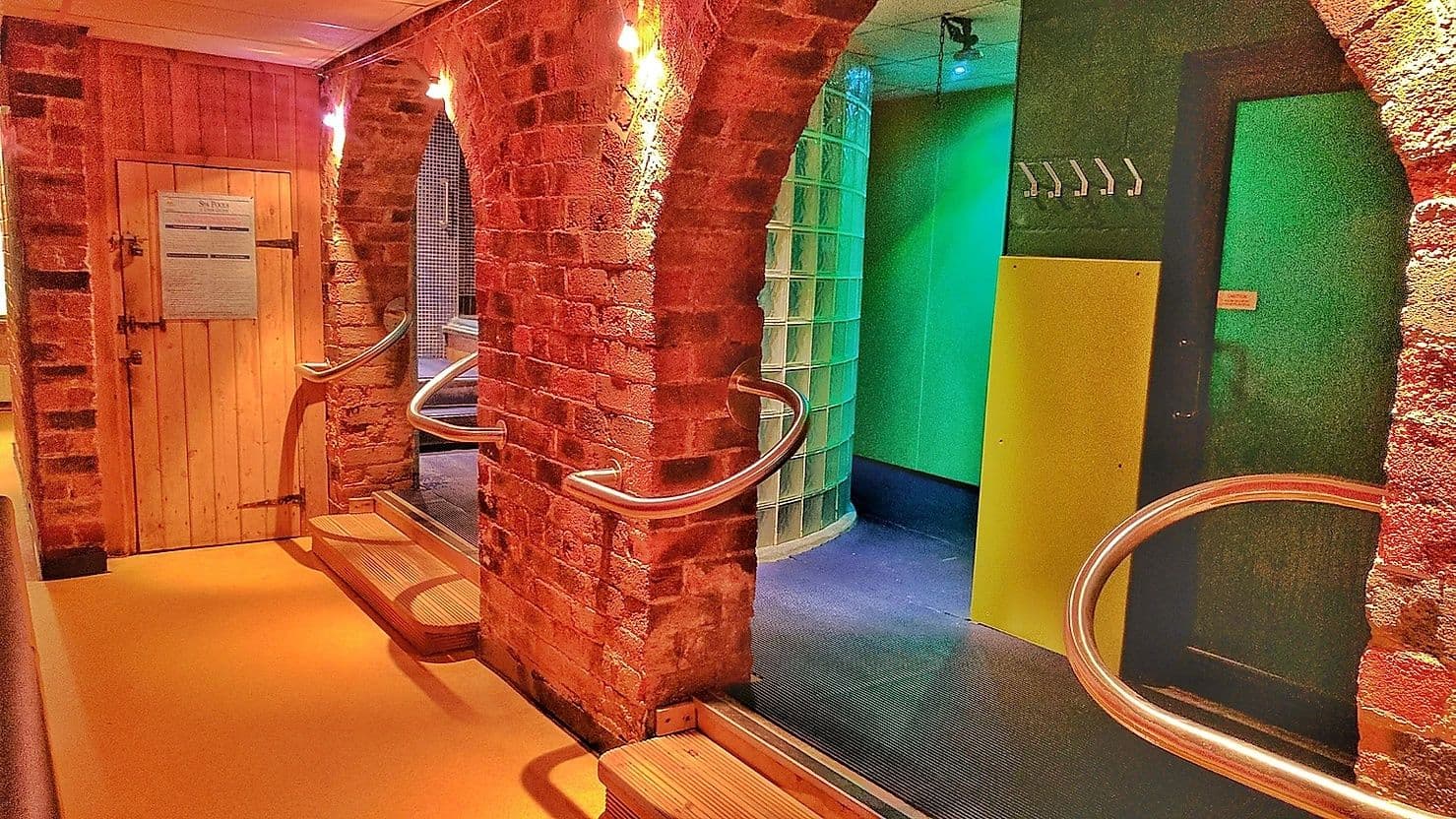 Plastic Ivy Sauna South Leeds