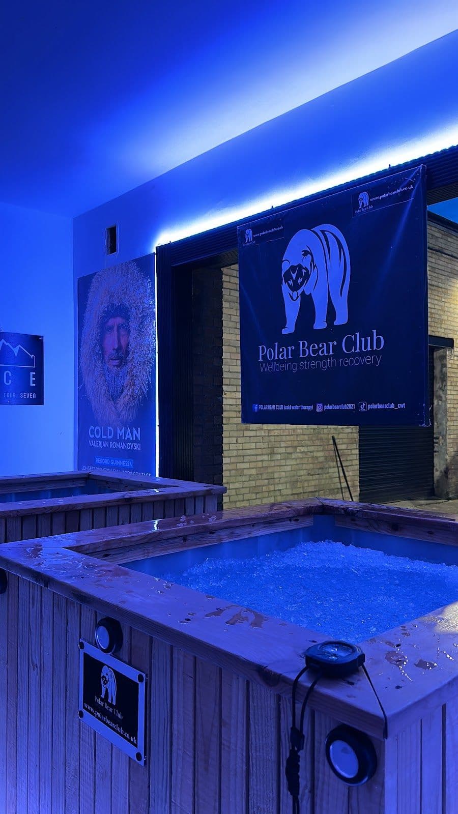 Polar Bear Club