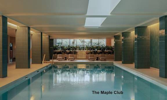 The Maple