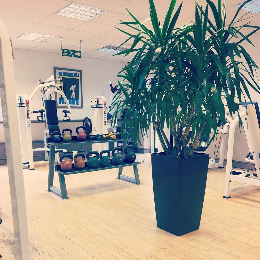 Tonics Fitness Centre